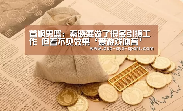 首钢男篮：秦晓雯做了很多引援工作 但看不见效果‘爱游戏体育’
