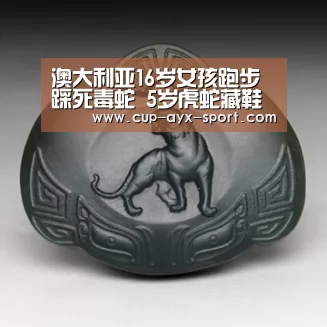 澳大利亚16岁女孩跑步踩死毒蛇 5岁虎蛇藏鞋内（图）_爱游戏体育
