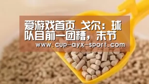 爱游戏体育