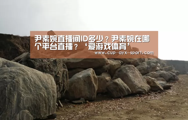 爱游戏官网