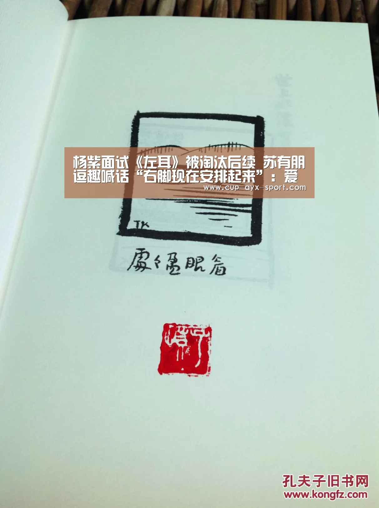 杨紫面试《左耳》被淘汰后续 苏有朋逗趣喊话“右脚现在安排起来”：爱游戏官网