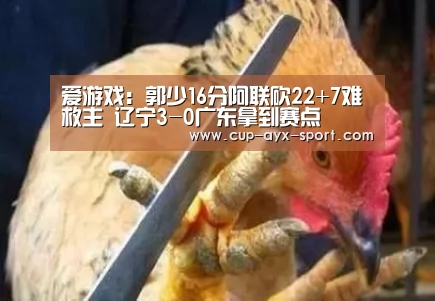 爱游戏