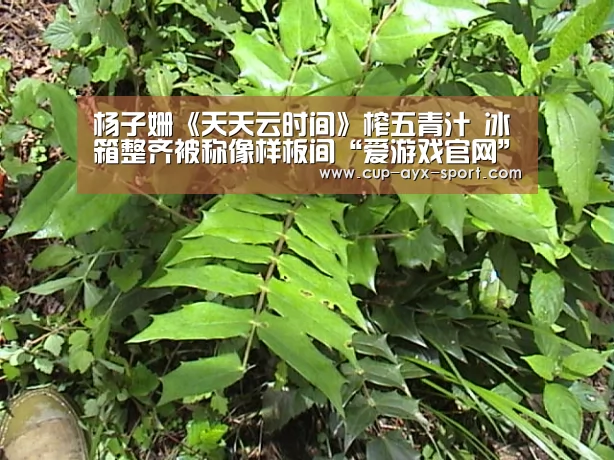 爱游戏官网