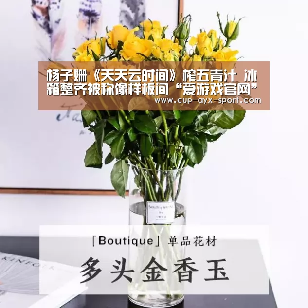 爱游戏